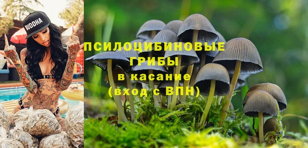МДМА Абаза