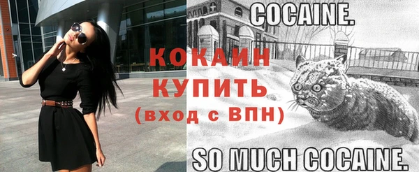эйфоретик Абинск