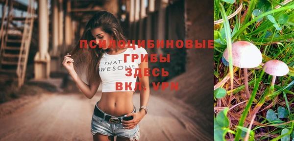 a pvp Зерноград